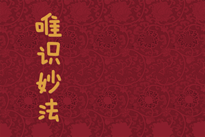 读《唯识妙法》之九|实修实证、因缘中对待和大根机